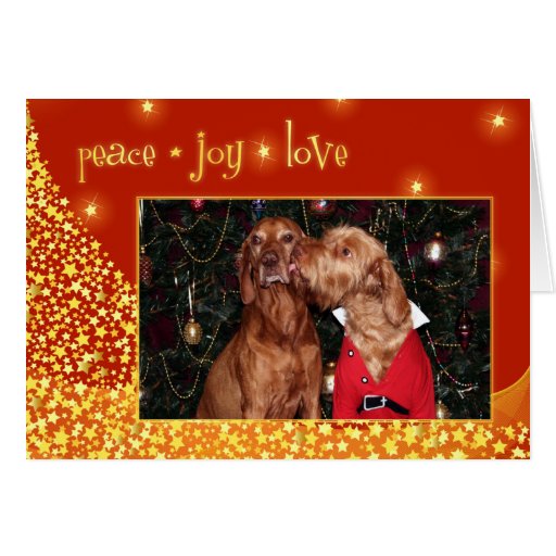Hungarian Vizsla Christmas Card 012