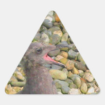 Hungry Baby Gull Sticker