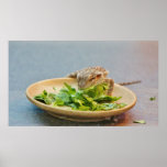 Hungry Bearded Dragon Posters
