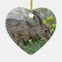 Hungry Bunny Ornament