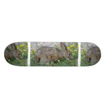 Hungry Bunny  Skateboard