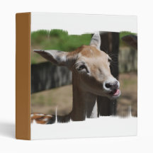 Hungry Deer Binder
