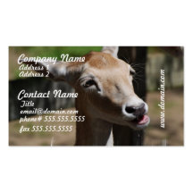 Hungry Deer Business Cards