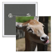 Hungry Deer Button