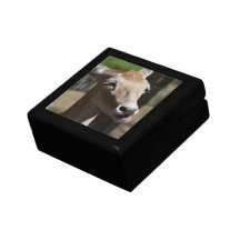 Hungry Deer Gift Box
