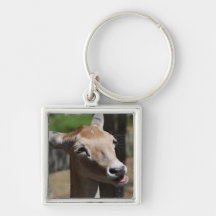 Hungry Deer Keychain