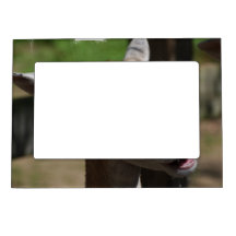 Hungry Deer Magnetic Frame