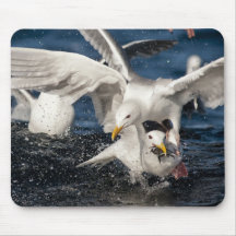 Hungry gulls mousepad