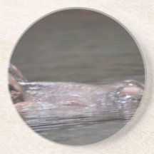 Hungry Hippo Beverage Coasters