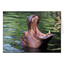 Hungry Hippo Greeting Cards