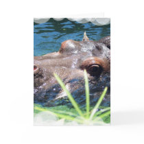 Hungry Hippo Greeting Card