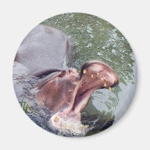 Hungry Hippo Mouth Photo Fridge Magnets