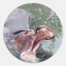 Hungry Hippo Mouth Photo Sticker