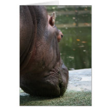 Hungry Hippo Notecard