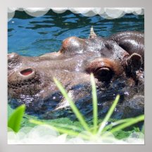 Hungry Hippo Poster