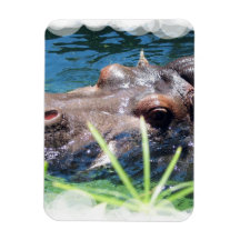 Hungry Hippo Premium Magnet