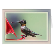Hungry Hummer Too Card