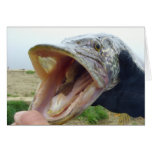 Hungry Pike Greeting Card