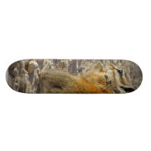 Hungry Squirrel Skateboard Decks