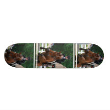Hunter Horse Show Skateboard