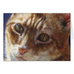 Hunter Orange Tabby Ginger cat painting art Card