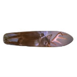 hunters board skateboards