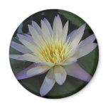Hunter's Moon Refrigerator Magnet