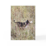 Hunting Beagle Greeting Card - Hound In The Reeds