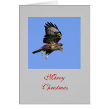 Hunting Buzzard Card