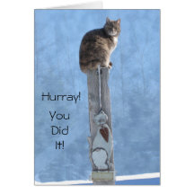 Hurray! You Did It Cards