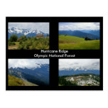 Hurricane Ridge postcard