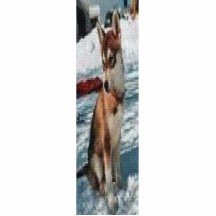 HUSKEY 23 PHOTO CUTOUTS