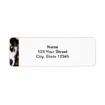 Husky Dog Blue Eye Border Return Address Labels
