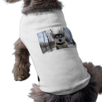 Husky Dog Dog Tee