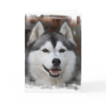 Husky Dog Greeting Card
