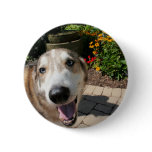 Husky Hybrid Apophis 5