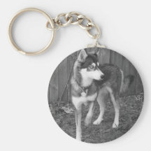 Husky Keychain