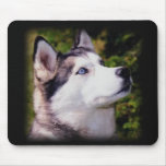 Husky mouse pad