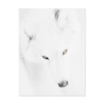 Husky postcards