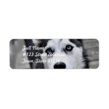 Husky Puppy Mailing Labels