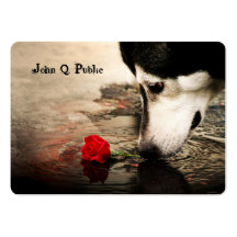Husky with Red Rose Business Card