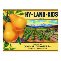 Hy-Land-Kids Pears Post Card