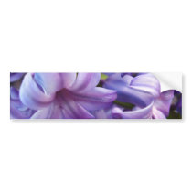 Hyacinth Flowers Bumper Sticker