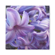 Hyacinth Flowers Square Magnet