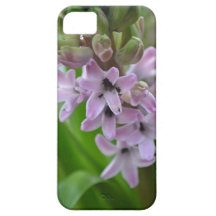 Hyacinth iPhone Case iPhone 5 Case