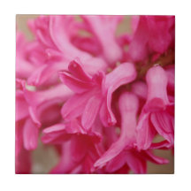 Hyacinth Pink Tiles