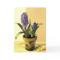 Hyacinth Pot Cards