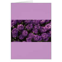 Hyacinths, Beautiful Card, Template