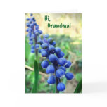 Hyacinths for Grandma on Mother's Day cards