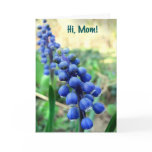 Hyacinths for Mom on Mother's Day cards